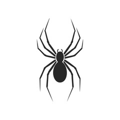 Obraz premium Black Silhouette of Spider on White Background arachnid