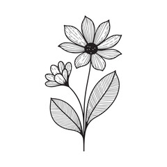 vector illustration of a flower
