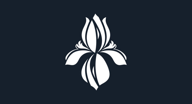 Elegant White Iris Flower Blossom on Dark Background.