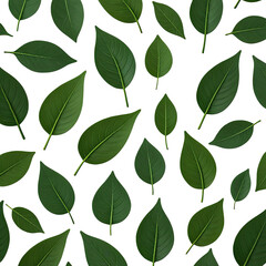 Green leaves floating on black background, botanical pattern