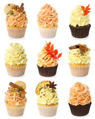 Yummy fall cupcakes isolated on white, set