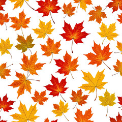Fototapeta premium Colorful autumn maple leaves scattered on a black background