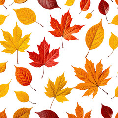 Fototapeta premium Colorful autumn leaves on black background, scattered