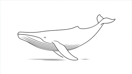 Obraz premium Whale contour, side view, detailed line art illustration on a clean, white backdrop