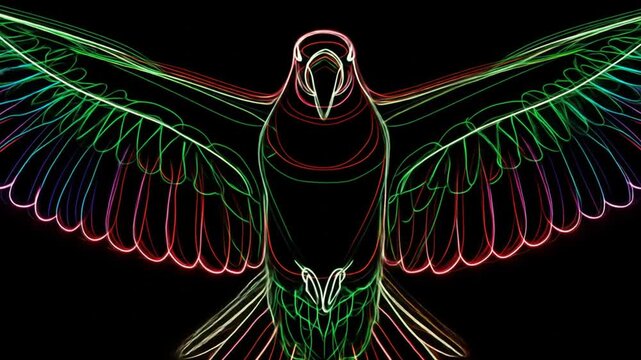 Colorful bird silhouette design