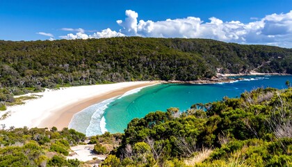 Panoramic view of a pristine beach nestled within a lush forest