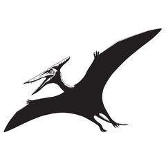 black and white silhouette of a Pterodactyl vector on a white background © yufamamiks