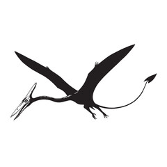 black and white silhouette of a Pterodactyl vector on a white background