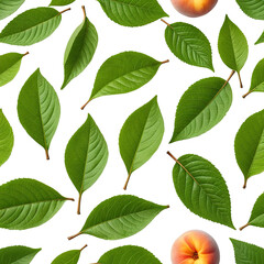 Fototapeta premium Lush green leaves and peaches, set against a stark black backdrop