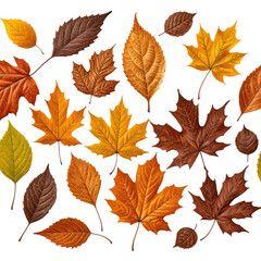 Collection of colorful fall leaves, golden, brown, and orange, isolated