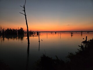 Sunrise on the Bayou