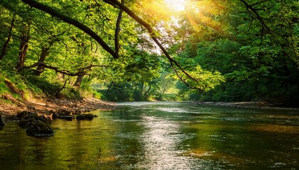 River Level Between Trees River In The Forest Tree Branches Reaching Down To The River Level Branches With Green Leaves Illuminated By Warm Summer Rays