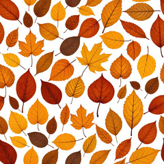 Colorful autumn leaves scattered on black background (6)