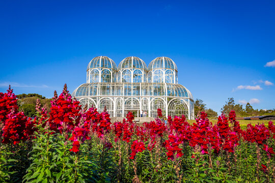 Botanical Garden of Curitiba on a sunny day with blue sky and lush tropical vegetation