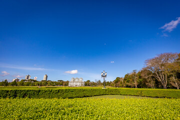 Obraz premium Botanical Garden of Curitiba on a sunny day with blue sky and lush tropical vegetation