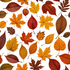 Obraz premium Colorful autumn leaves scattered on a black background (12)