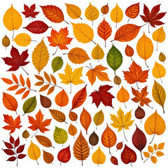 Obraz premium Colorful autumn leaves scattered on a black background. Varying shapes, sizes, hues