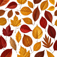 Obraz premium Colorful Autumn leaves scattered across a dark background. Vivid reds, oranges, yellows