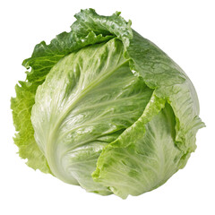 Head of iceberg lettuce isolated on transparent background