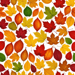 Colorful autumn leaves scattered on a black background (1)