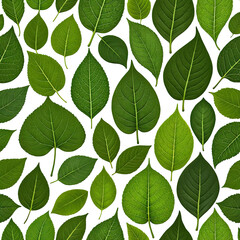 Obraz premium Pattern of detailed green leaves on black background. Various sizes, leaf shapes and textures
