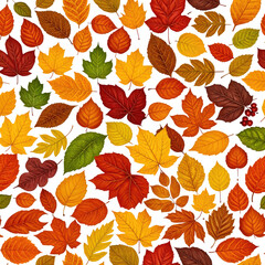 Obraz premium Colorful autumn leaves scattered against a black background