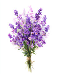 Obraz premium Watercolor lavender bouquet clipart, white background, simple design, detailed