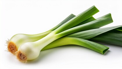 Fresh Leek Onion Isolated On White Background