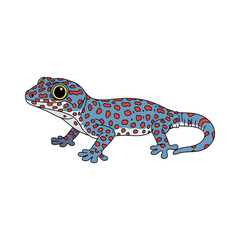 
gecko illustration design