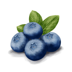 Obraz premium Vivid watercolor illustration of ripe blueberries with bright green leaves on a dark backdrop. Ideal for food imagery, healthy eating themes, and fresh produce in packaging, magazines and blogs.