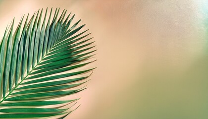 Obraz premium Close Up Of A Palm Frond And Green Tropical Leaves On Pastel Background