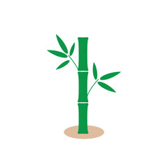 Single green bamboo plant with leaves.