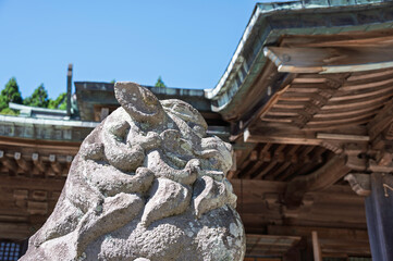 - 静かに佇む狛犬と社殿の美
