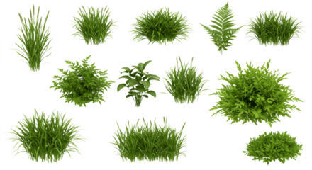 Collection of potted indoor plants isolated on white background, decorative houseplants with diverse green leaves in stylish pots, perfect for home decor, interior design, botanical illustration, gree