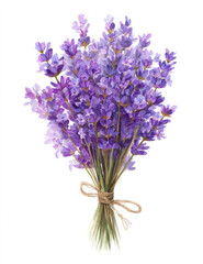Obraz premium bunch of lavender flowers