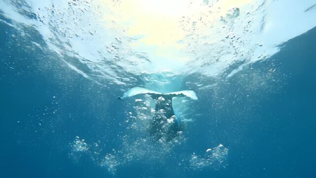 Underwater 4k view of a mermaid diving deep, creating bubbles as she descends into the dark blue ocean water with sun rays breaking through the surface.