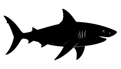 Fototapeta premium Silhouette of a great white shark (1)