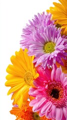 Vibrant Gerbera Daisies and Mums in Shades of Pink, Yellow, and Orange