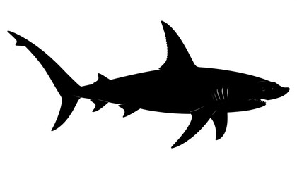 Obraz premium Silhouette of a shark