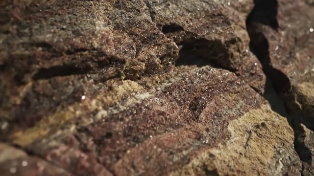 Sun-drenched Weathered Surface