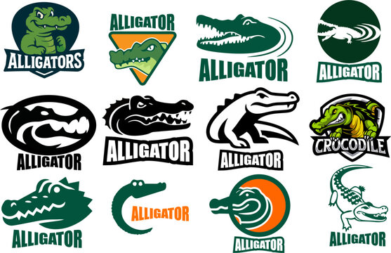 Vector of Alligator Logo  design on white background. Wild Animals. Reptile.  Crocodile Logo Easy editable layered vector illustration.