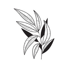 Abstract plant with lined leaves, modern black and white line art. Hand-drawn vector illustration of a botanical branch. Minimalist graphic foliage sketch isolated on white background for wall art and