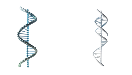 Genetic Science Collection – Dual DNA Helix Designs Isolated on Transparent Background