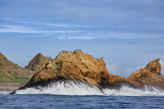 Farallone Islands