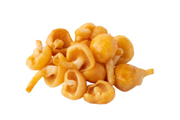 透明背景（png）に大粒のなめこ