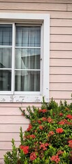 Window with a view of a pink house and vibrant red flowers