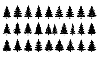 Fototapeta premium Silhouettes of various pine trees (1)