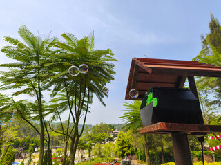 Soap bubbles floating in the air near green trees outdoors