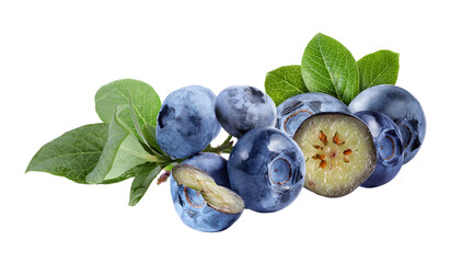 juicy blueberries with fresh green leaves and a cut berry