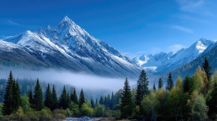 Fototapeta premium Snow Capped Mountain Peaks Under Blue Sky with Evergreen Trees and Fog Scenery